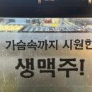 타코폭탄 이미지