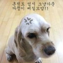 오토셀프존 이미지
