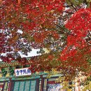 (주) 승병 네이버블로그