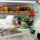 Any trolley will do..잠이란 이런 것..ㅎㅎ 이미지