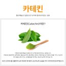 레디원 이미지