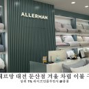알레르망대전 이미지