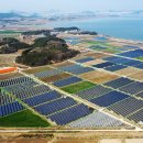 보전간척지 이미지