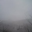 은지가든 이미지