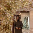 희락복어 | 임산부가 먹어도 되는 회 초밥 웨스틴 조선 호텔 서울 스시조 12월 디너 오마카세 후기