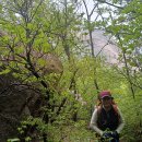 [김신조루트 6구간 END) 진관사-비봉-청와대 이미지