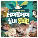 홍대 이색 데이트, 실내 동물원 '테이블에이' 체험 후기!