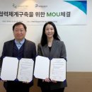디알솔루션
