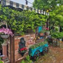 숲속애견샵 이미지