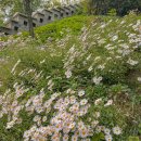 중하경로당 | 서울 초보 등산 추천 인왕산 최단 코스 (난이도 중하)
