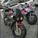 cbr250rr mc22 이미지