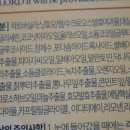 닛시레 이미지