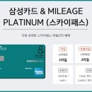 스카이플래티늄항공 이미지