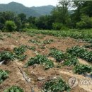 농민농약백화점 이미지