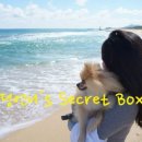 이벤트박스(EVENT BOX) 이미지