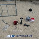 금오초등학교 이미지