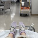 정원목장 | 보더콜리 중형견과 함께 강원도 홍천 하양목장 설악의정원애견펜션 여행 후기