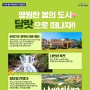 강대표투어 이미지