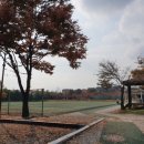 팽성레포츠공원 이미지