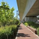 남문구사거리 이미지