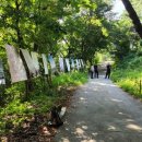 조양강 민박 이미지