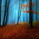 어답산 어슬렁빌리지 이미지