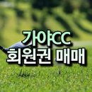 가야CC골프아카데미 제니스 이미지
