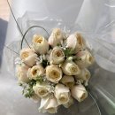 시종시장 | [8월 일상일기] 봄봄플라워, 소울브라우즈 촬영 후기