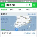 불을품은닭