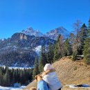 수송반려동물병원 이미지