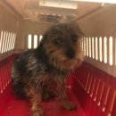 내성지구대 이미지