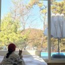 팔팔빌라 | [아산]퍼스트스테이_애견동반,자쿠지 독채 풀빌라 펜션, 야외 개별 수영장