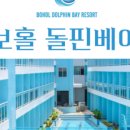 돌핀리조트 이미지