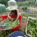 새샘농장 이미지