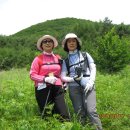 삼공주 이미지