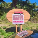 한식요리 B반 이미지