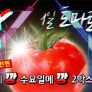 토마토마트 이미지