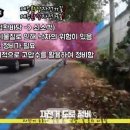 소보록 요보록 이미지