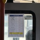 산호사 | 10월 제주여행, 대가족 우도 한바퀴 환승이용권 후기