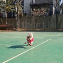 죽전소공원 이미지
