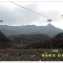 거창-주상-2 이미지