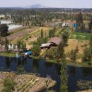 귀환농장 이미지