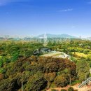 용산-265 이미지