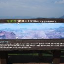 억불산 Daum카페