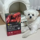 (주)토리소프트 네이버블로그