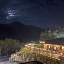 유정1955 이미지