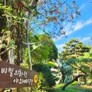 [여행] 익산 핑크뮬리 가득한 인스타 감성 포토존 &#34;달빛소리 수목원&#34; 완전 추천!!