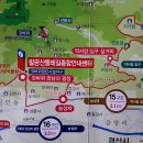 팔공산 둘레길 16구간 티스토리