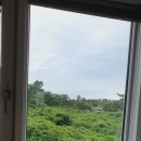 제주금능숙소 에어비앤비] 브리타니금능에서 일주일 살기