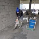 영상자동차공업사 이미지